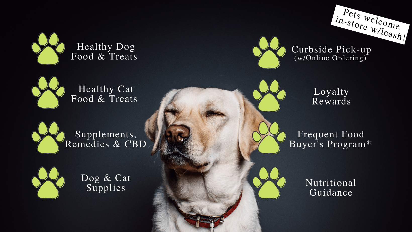 My Natural Pet Supply